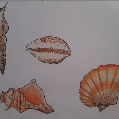 81257910070084939911306087265892870051894872720128802345631265749052755542017