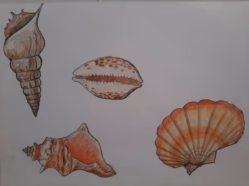 Item #81257910070084939911306087265892870051894872720128802345631265749052755542017 Media