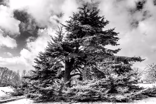 Item #95930744612989253264341458363878669706731092846429446161851759016940381667329 Media