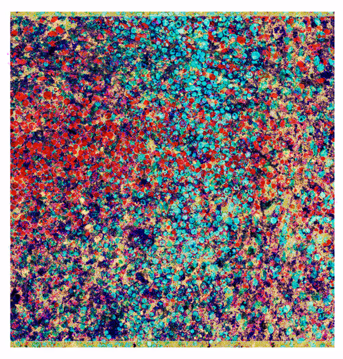 Item #21421733011372211757949992477386448125560528376060899824271976699462307282945 Media