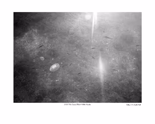 Item #24600310660482288606297797528155087939323639147399647196853483689718795206657 Media