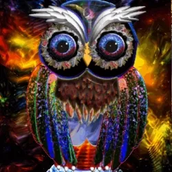 Wisdom Set XVII