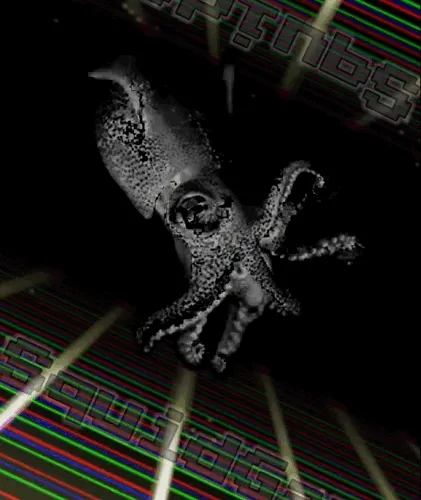 COSMIC #SquidGang