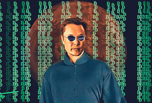 Musk in the Bittrix #15/20