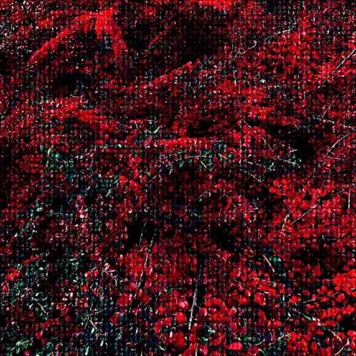 Item #49340257780591460438118756353140259537071093963738610434978612709073266671617 Media