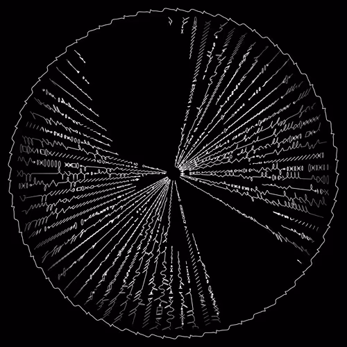 codex 404581024.
