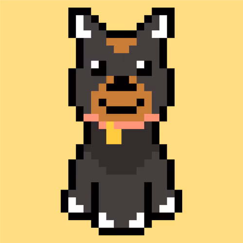 23076526166929291849301362532451793316798280073983268603628188425465198804993