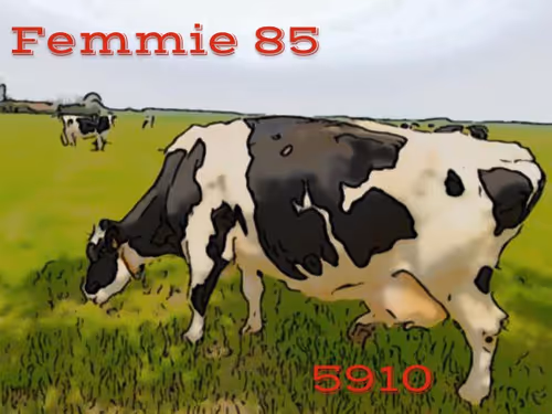 Item #106168068867162485094593885732241547229015412580842941571810197548343389847553 Media