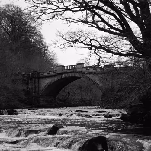 Item #106126435747361760478255485780352519166561968959024906964316827678319063334913 Media