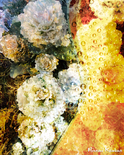 Item #85287633778568224854249724770997392266845098345306706215284281578385609588737 Media