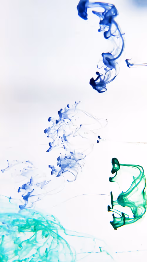 Item #31305712980941030161867633175304117506253559023819364015858336196416487030785 Media