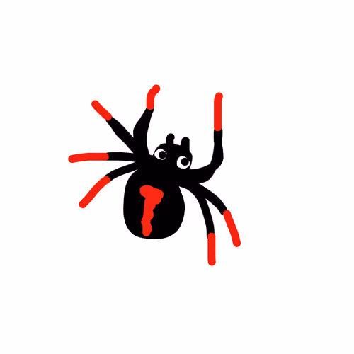 Redback Spider