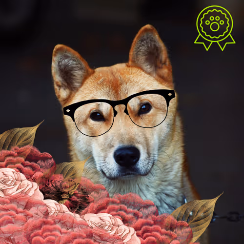 68234879041131190799370661978506854880467220543129651226848936604239398961153