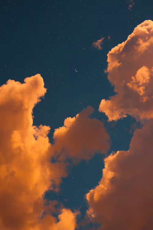 Item #9516099056367242152996622501750151802451978225621664057436231532520260239361 Media