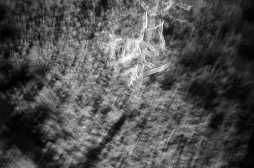 Item #38495668349306452240688866721683925223246116077147746545727998355746513223780 Media