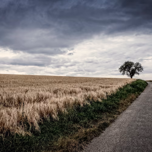 Mysterious Journey of Life 01