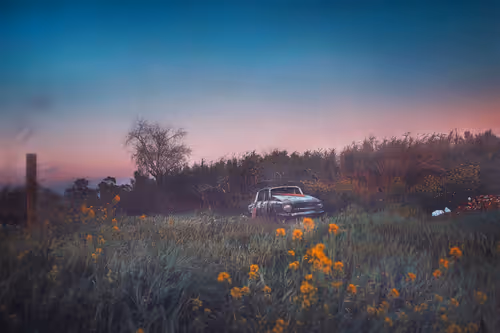 Item #21434562732768092237796646389615295837172194009472608172260032497019825160193 Media