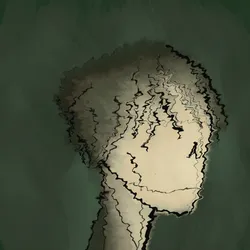 2169091947850763284009004487666167300077534938953749439940777705526844719105