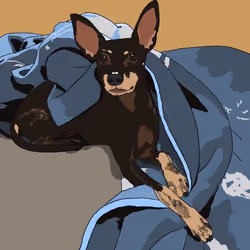 Bosco Under Cover #8