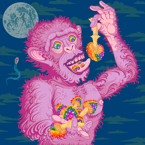 Item #16119877760501292309973729803484406804180950439751927273251274144129520500737 Media