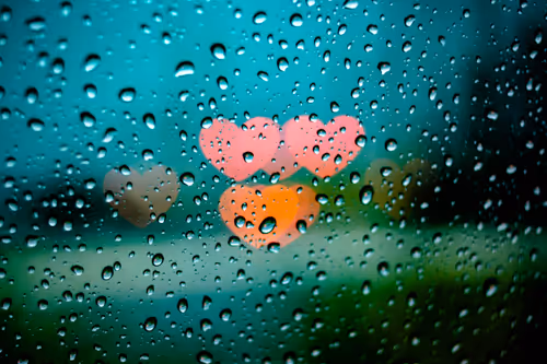 Item #30985419060957023672606833204645685316652492575224970316942919868893123051521 Media