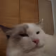 8665727759412748155226687366651350766252383331957132606779190348688205545473