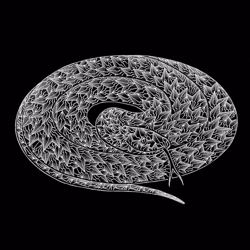 Zodiac_Snake