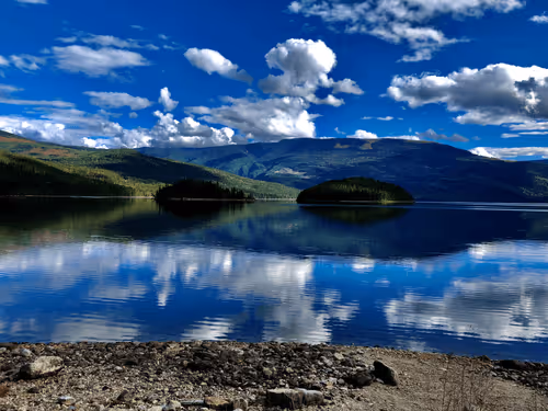 Actual_Simo Collection