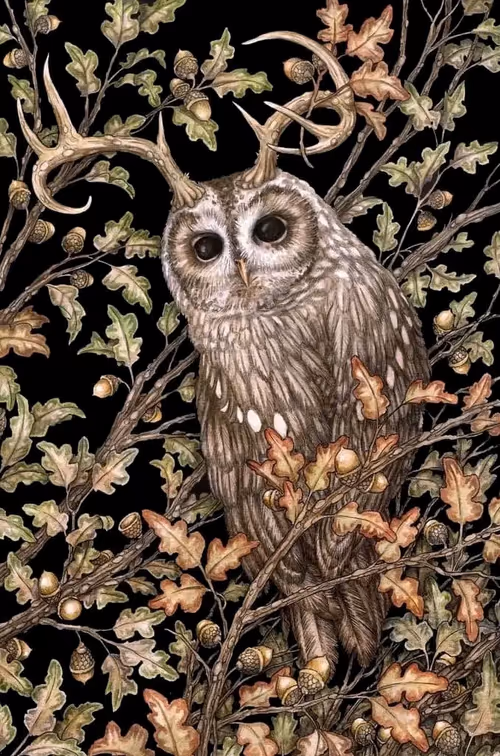 Item #2008822131784963210121611062036817964270591121271243619924453467624361164801 Media