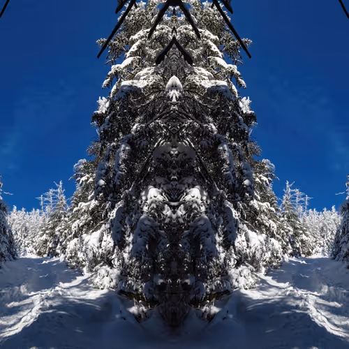 Landscape Mirrors
