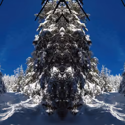 Mirror 37