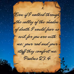 Bible Scrolls