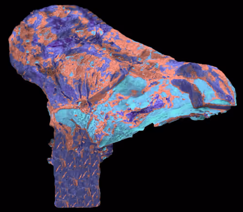 Item #18063966590187803564983313972252836895288362682890717819958697136205231816705 Media