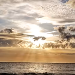 Silver Dawn
