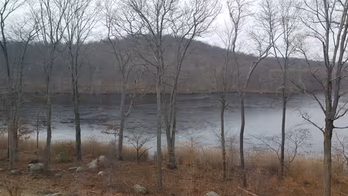 Item #113362109709365944141137886500163150931447814244950449187042120709538742009857 Media