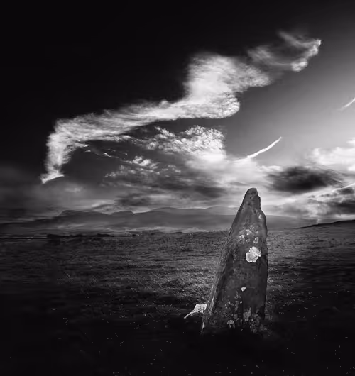 Item #40160686583094733528677484039903516258611509642019211679321071572718909915137 Media