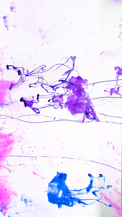 Item #31305712980941030161867633175304117506253559023819364015858336232700370747393 Media