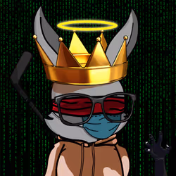 88542289232910988082985471742010113017330397052625520364867095403108302323713