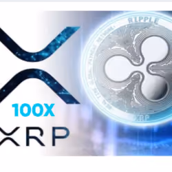 XRP ROCKET
