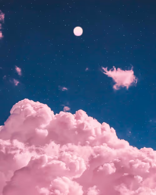 Item #101753459392207884073005542579533137391077031785380586069909448531004446736385 Media