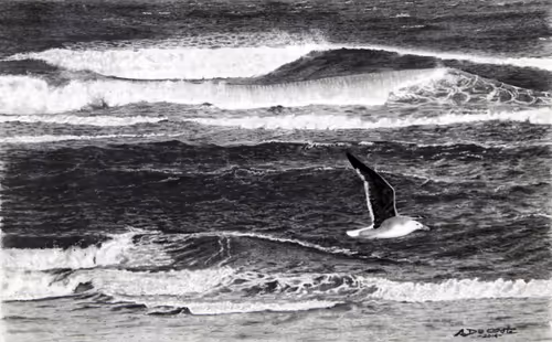 Item #38981910914719841349209021672290748297079281141291330615712331758942478663683 Media