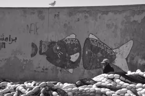 Item #44882446658105913853796509950000769097268566916228504631757224080940860440577 Media