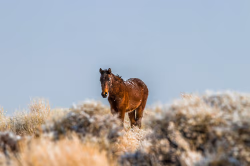 Item #16518193537643817457292530521521325210840263127785236149307760010561033601025 Media