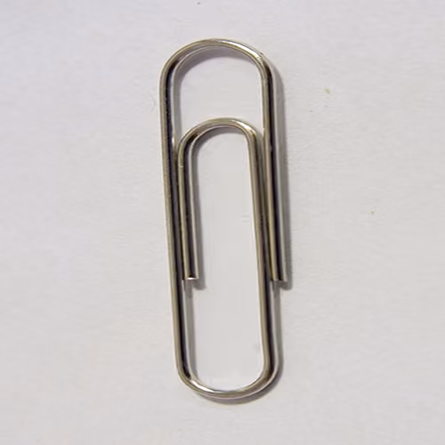 Million Dollar Paperclip