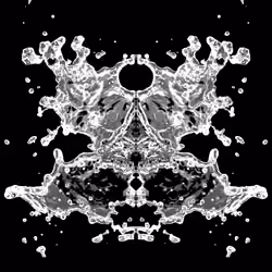 Rorschach Ink Blot #29