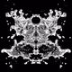 Rorschach Ink Blot #29