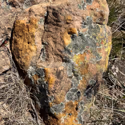 Rock #1