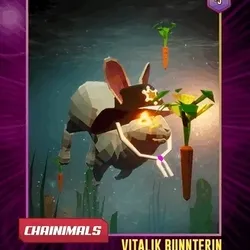Vitalik Bunnterin #5