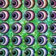 988807378018471650366238476189571341635974987464554572710292744544236601352
