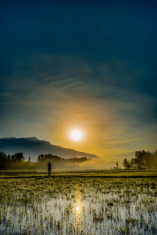 Item #106096322599603620341222276342369033024048943291878962669270680821410534785025 Media